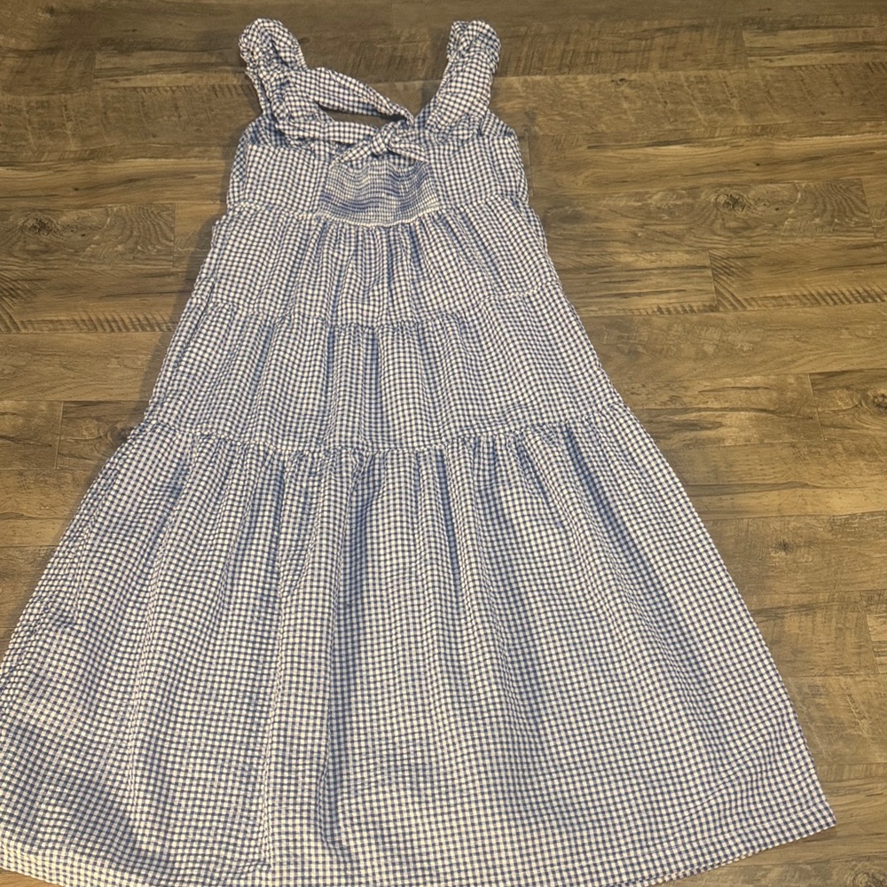 Blue and White Gingham Dress - Picture 6 of 9